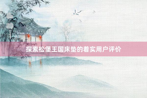 探索松堡王国床垫的着实用户评价
